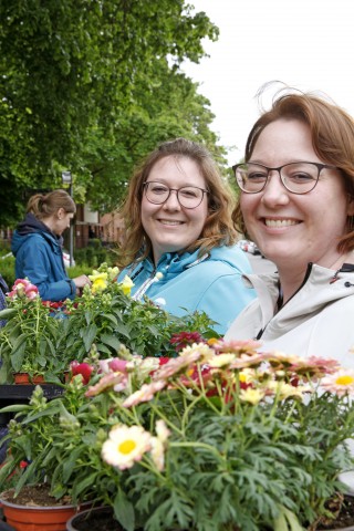 Foto Sommerblumenaktion 2024